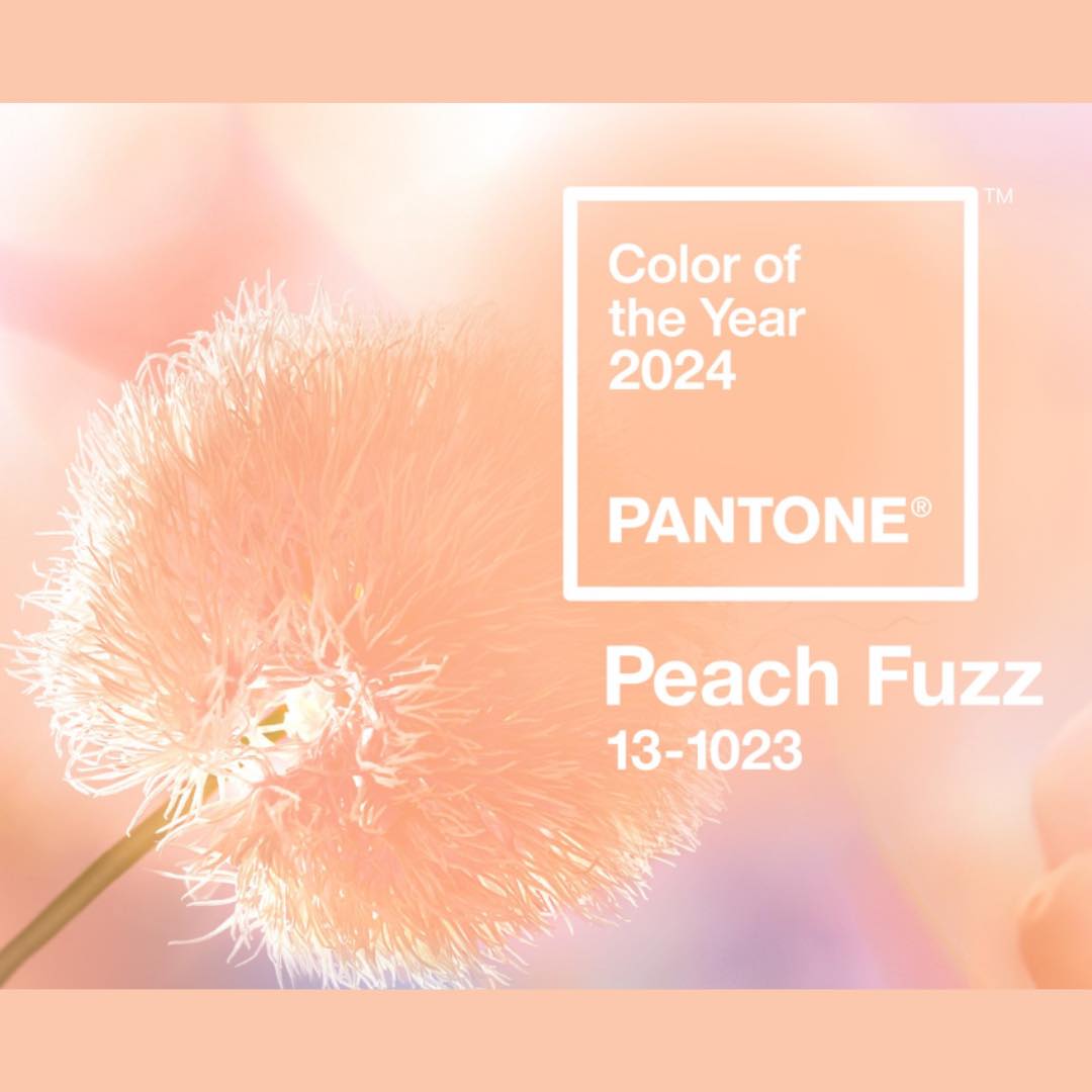 Kolor roku PANTONE 2024