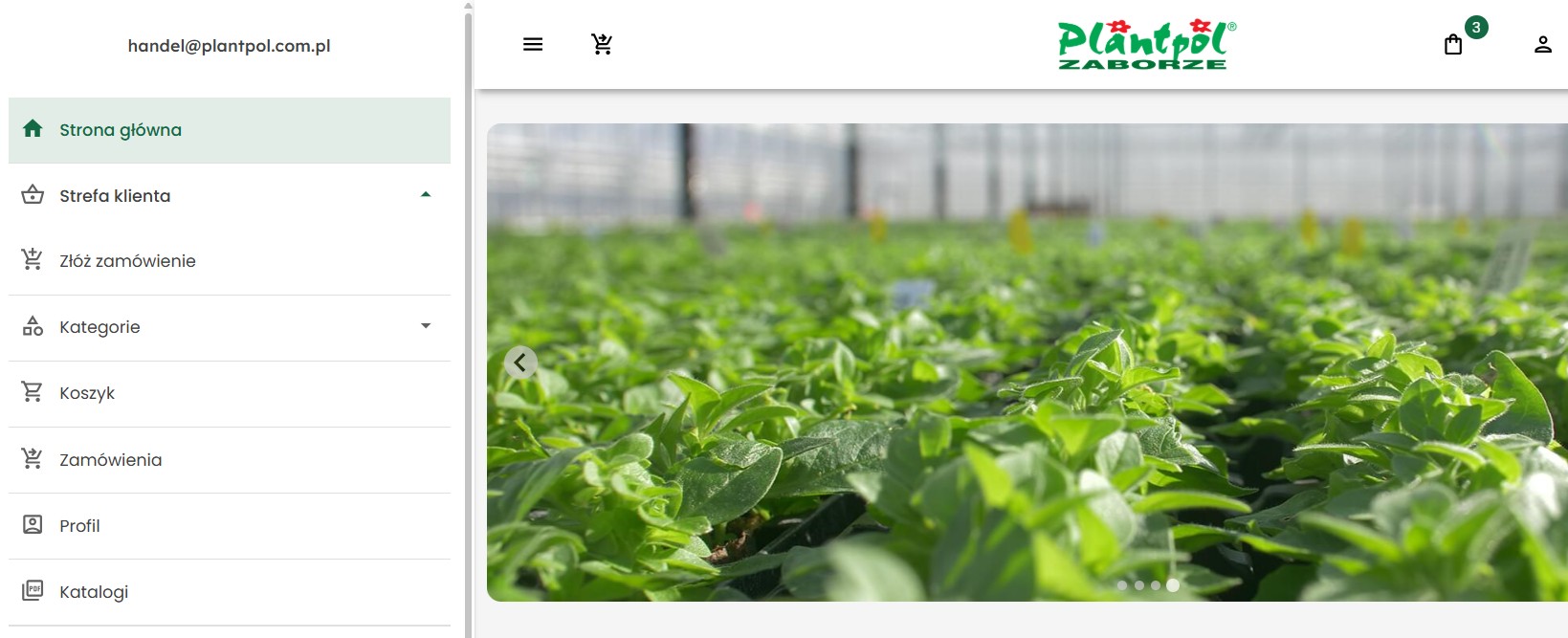 Elektroniczny system zamówień