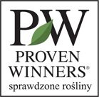 Proven Winners - sprawdzone rośliny