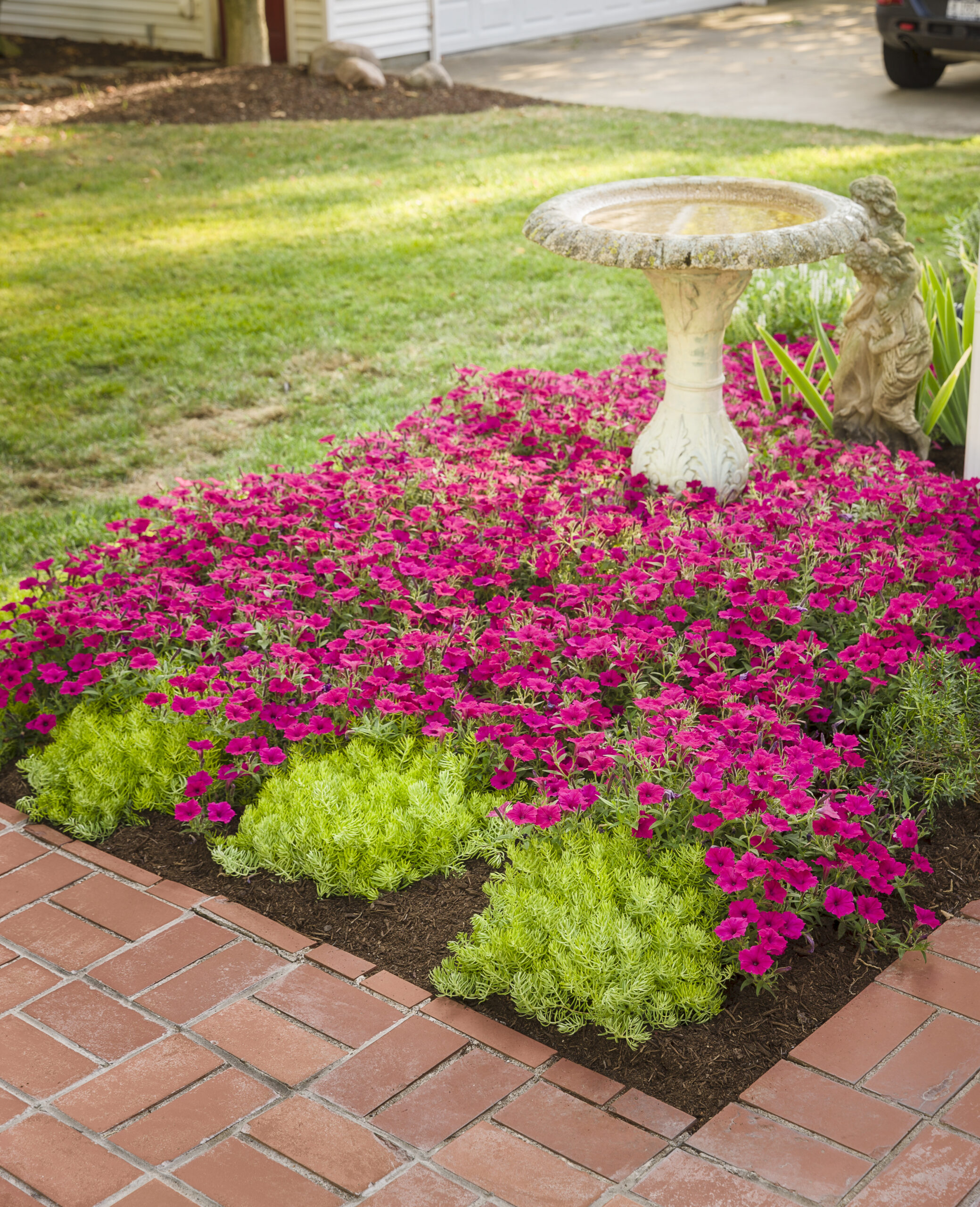 VISTA Fuchsia SS - obrazek 3